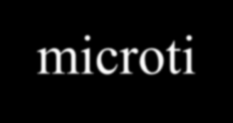 Mycobacterium tuberculosis complex: Mycobacterium tuberculosis