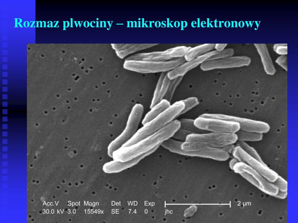 mikroskop
