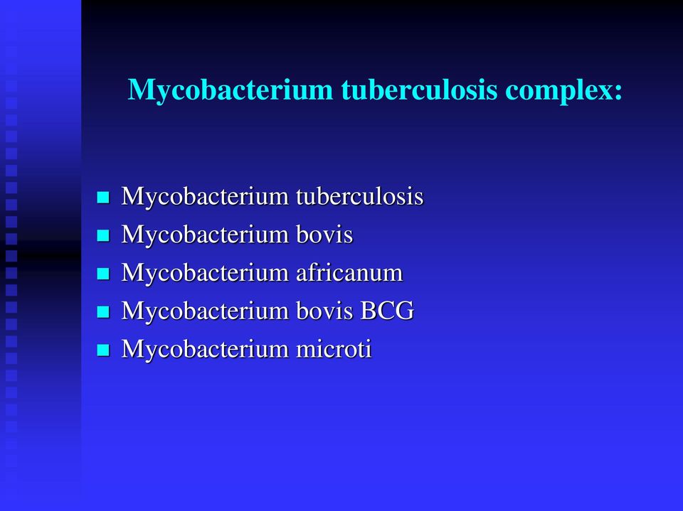 Mycobacterium bovis Mycobacterium