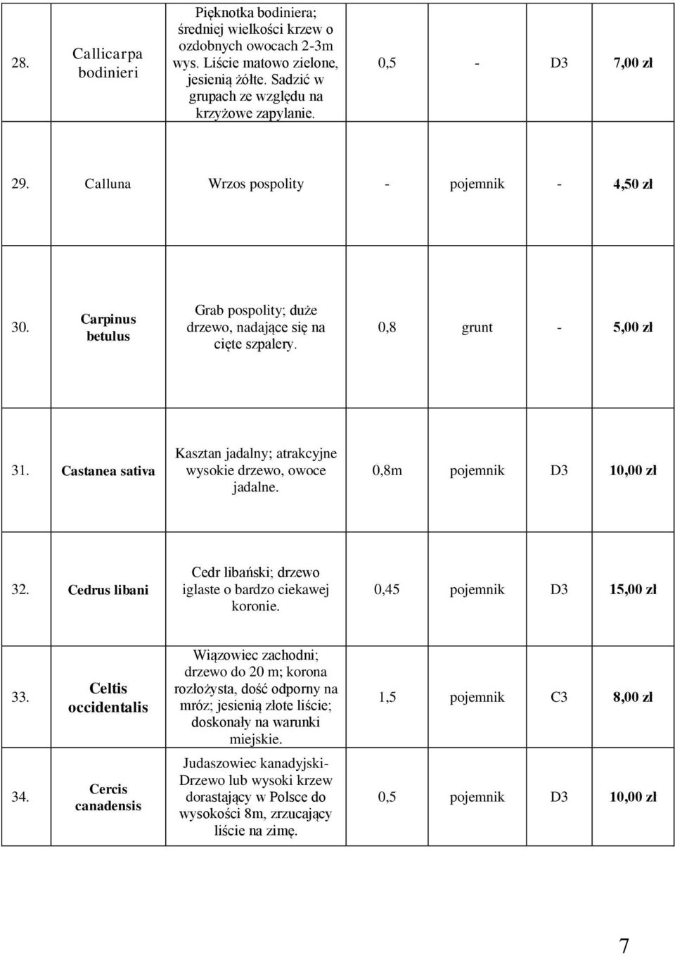 Castanea sativa Kasztan jadalny; atrakcyjne wysokie drzewo, owoce jadalne. 0,8m pojemnik D3 32. Cedrus libani Cedr libański; drzewo iglaste o bardzo ciekawej koronie. 0,45 pojemnik D3 15,00 zł 33.