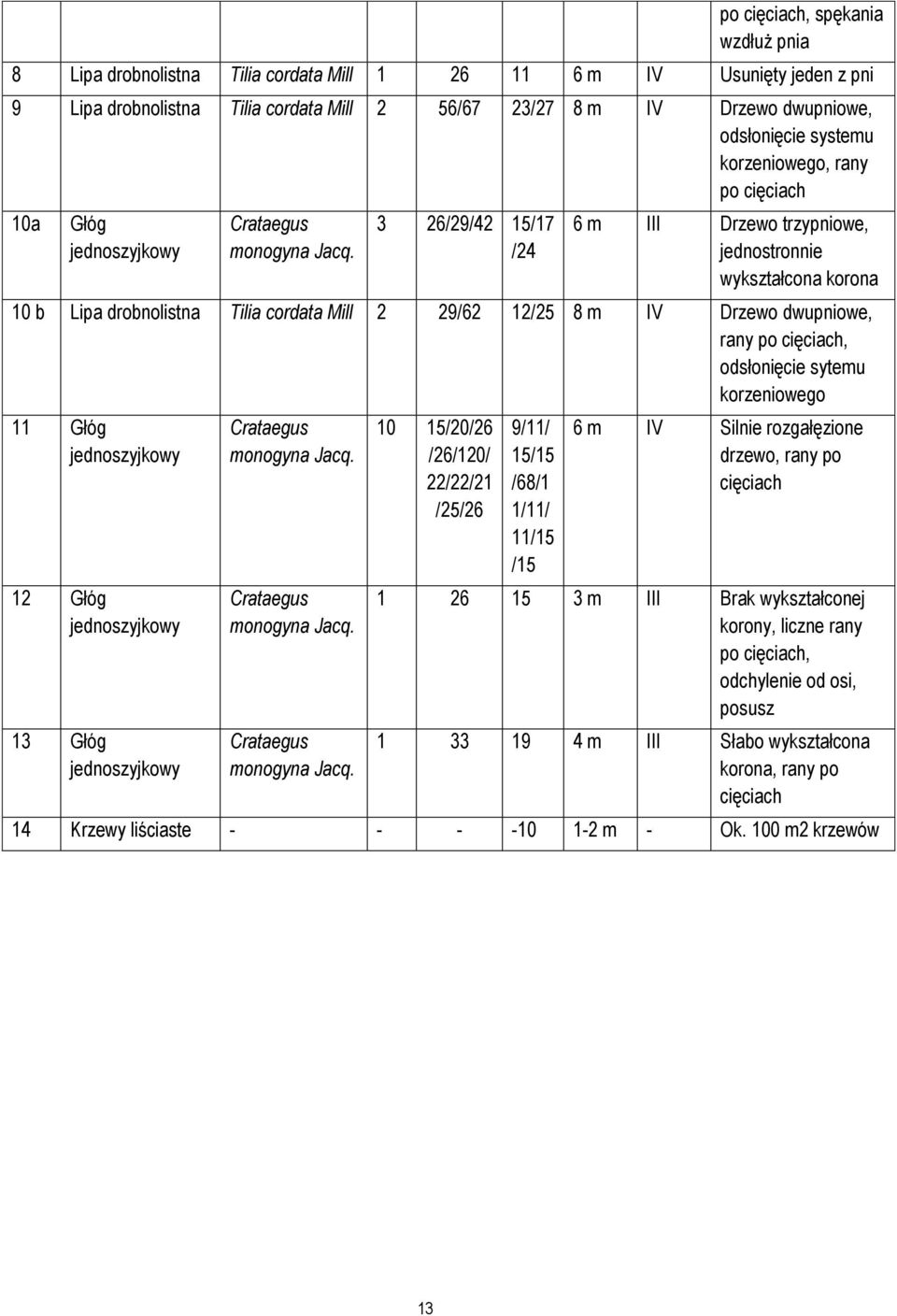 3 26/29/42 15/17 /24 6 m III Drzewo trzypniowe, jednostronnie wykształcona korona 10 b Lipa drobnolistna Tilia cordata Mill 2 29/62 12/25 8 m IV Drzewo dwupniowe, rany po cięciach, odsłonięcie sytemu
