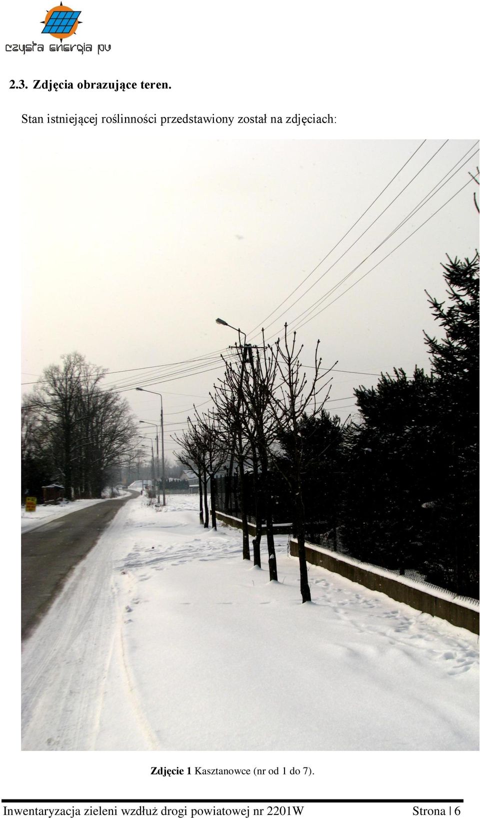 na zdjęciach: Zdjęcie 1 Kasztanowce (nr od 1 do