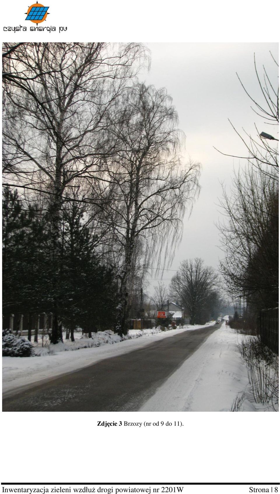 Inwentaryzacja zieleni