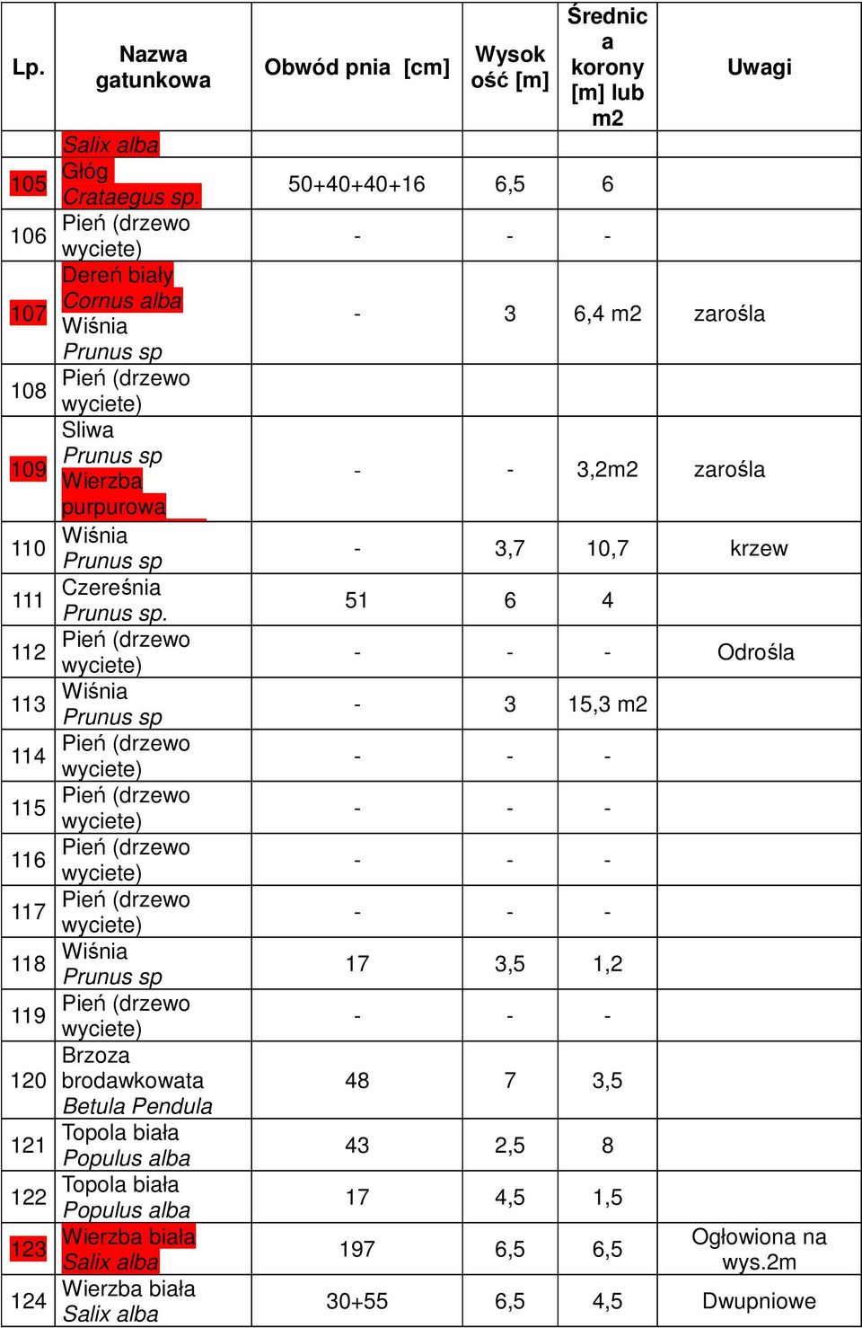 112 113 Wiśnia Prunus sp 114 115 116 117 118 Wiśnia Prunus sp 119 Brzoza 120 brodawkowata Betula Pendula Topola biała 121 Populus alba Topola biała 122