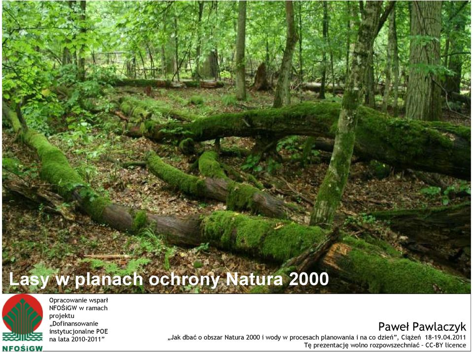 Pawlaczyk Jak dbać o obszar Natura 2000 i wody w procesach planowania i