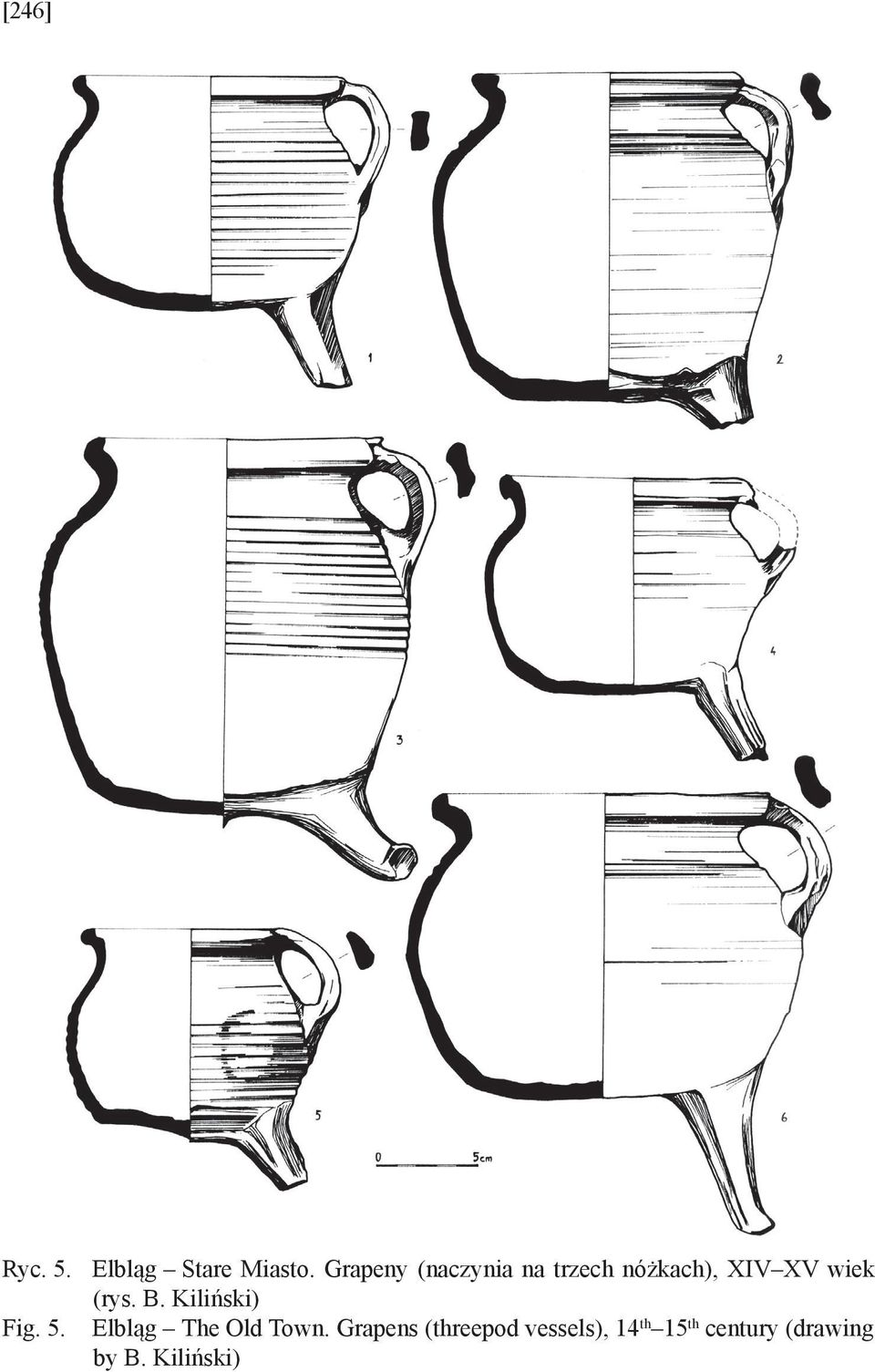 (rys. B. Kiliński) Fig. 5. Elbląg The Old Town.