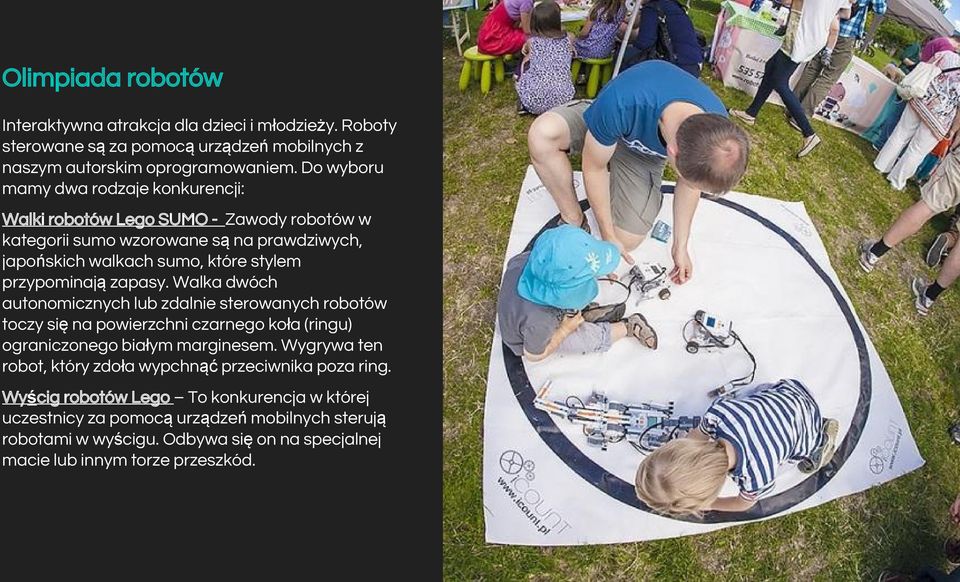 zapasy. Walka dwóch autonomicznych lub zdalnie sterowanych robotów toczy się na powierzchni czarnego koła (ringu) ograniczonego białym marginesem.
