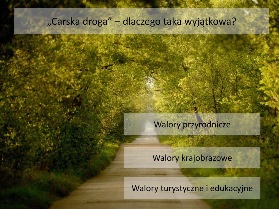 Walory przyrodnicze Walory