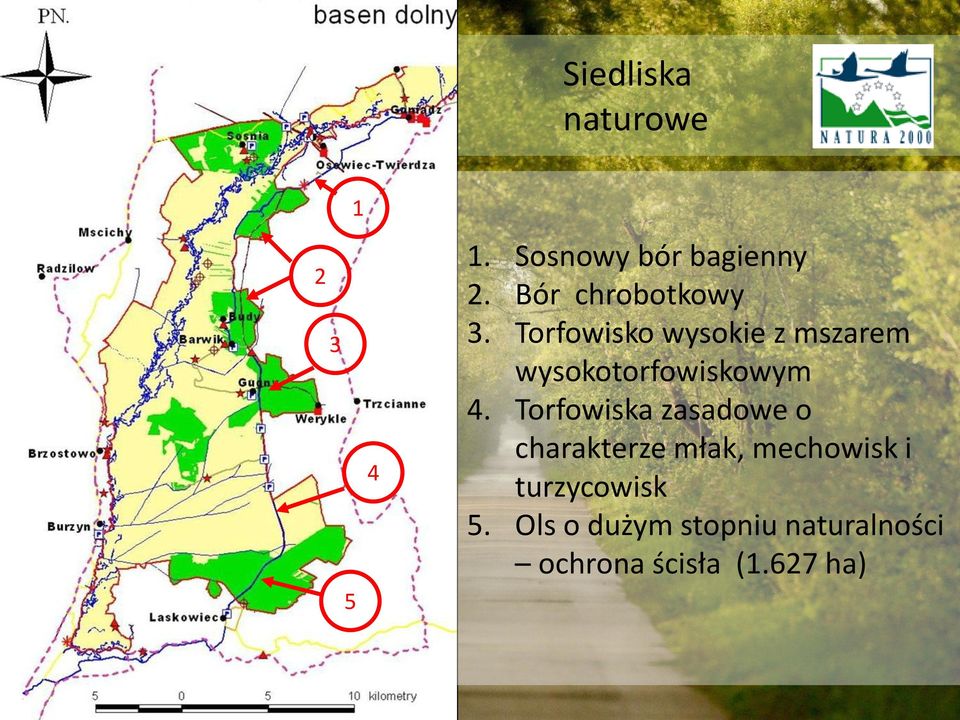 Torfowisko wysokie z mszarem wysokotorfowiskowym 4.