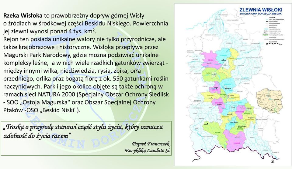 Wisłoka przepływa przez Magurski Park Narodowy, gdzie można podziwiać unikalne kompleksy leśne, a w nich wiele rzadkich gatunków zwierząt - między innymi wilka, niedźwiedzia, rysia, żbika, orła