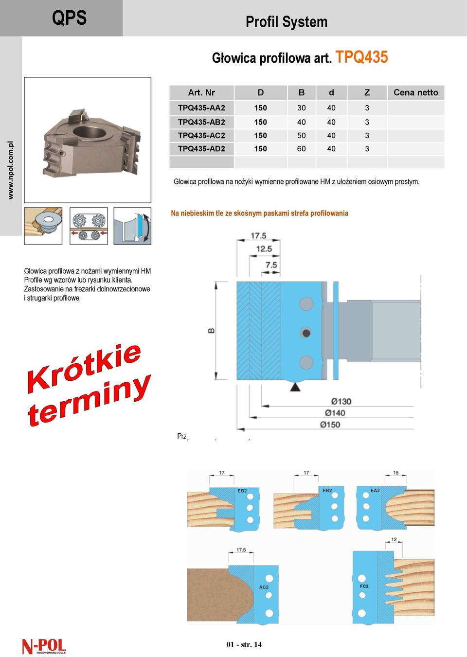 TPQ435-AD2 150 60 40 3 Głowica profilowa na nożyki wymienne profilowane z