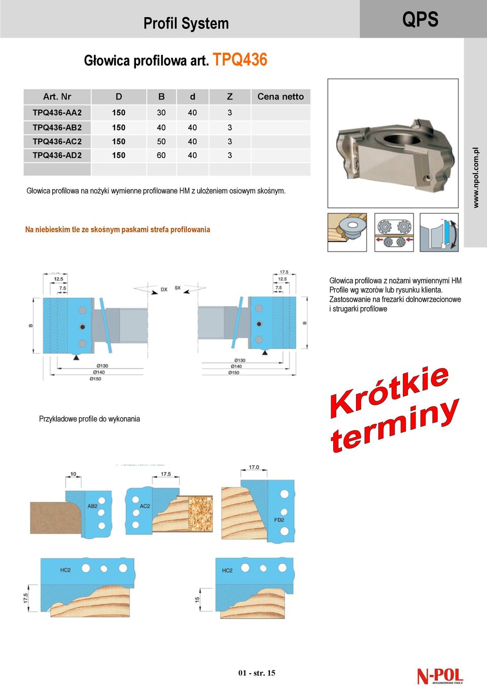 TPQ436-AD2 150 60 40 3 Głowica profilowa na nożyki wymienne profilowane z