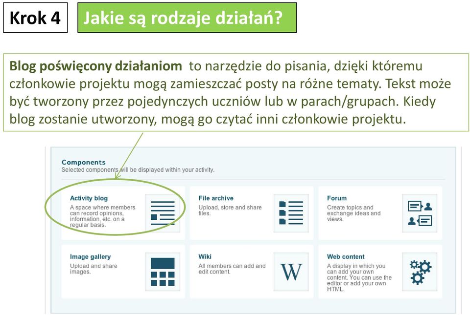 członkowie projektu mogą zamieszczać posty na różne tematy.