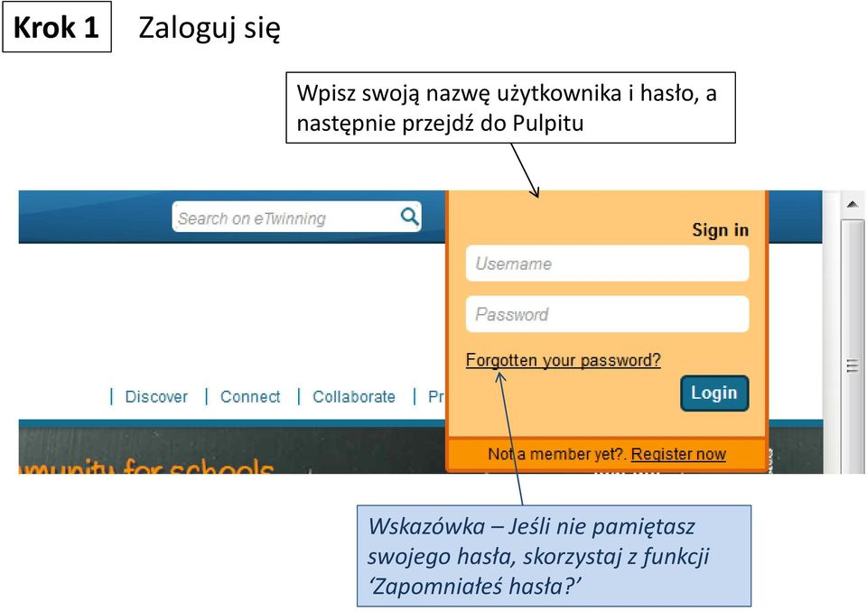 Pulpitu Wskazówka Jeśli nie pamiętasz