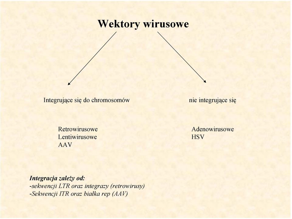 Adenowirusowe HSV Integracja zależy od: -sekwencji LTR