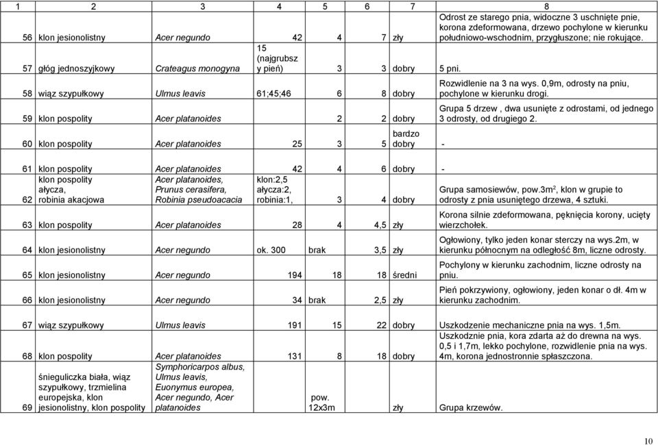 58 wiąz szypułkowy Ulmus leavis 61;45;46 6 8 dobry 59 klon pospolity Acer platanoides 2 2 dobry 60 klon pospolity Acer platanoides 25 3 5 bardzo dobry - Rozwidlenie na 3 na wys.