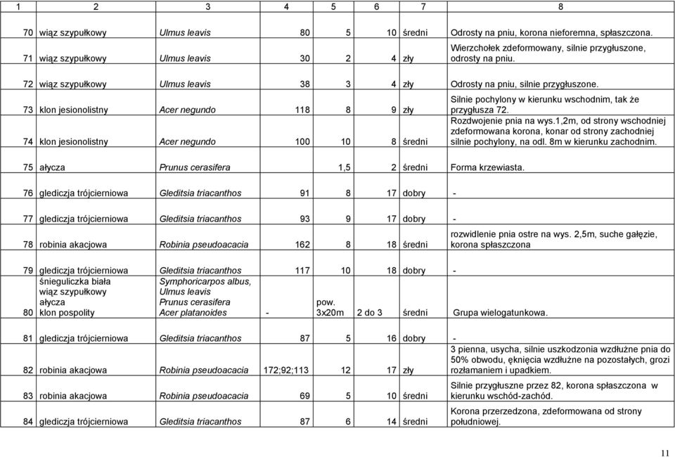 73 klon jesionolistny Acer negundo 118 8 9 zły 74 klon jesionolistny Acer negundo 100 10 8 średni Silnie pochylony w kierunku wschodnim, tak że przygłusza 72. Rozdwojenie pnia na wys.