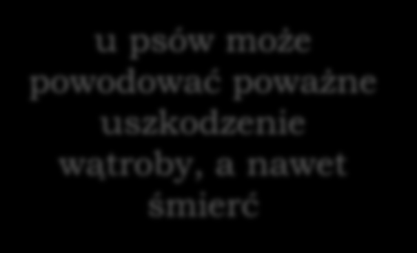 Pięciowęglowy alkohol polihydroksylowy KSYLITOL Oznaczany symbolem E967 Ma działanie
