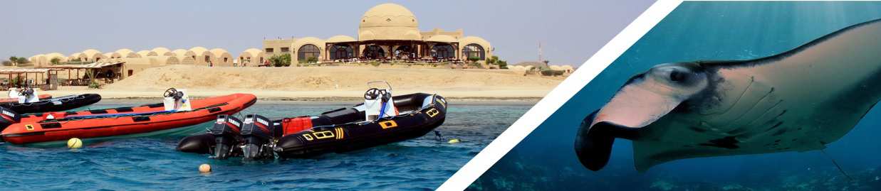 Marsa Shagra Nurkowy camp pełen atrakcji (Marsa Alam) Szczegółowe informacje o naszej bazie na www.nurkowanieegipt.com.pl Termin wyjazdu» 06 sierpień 13 sierpień 2016 (8D/7N) Cena wyjazdu» 3.