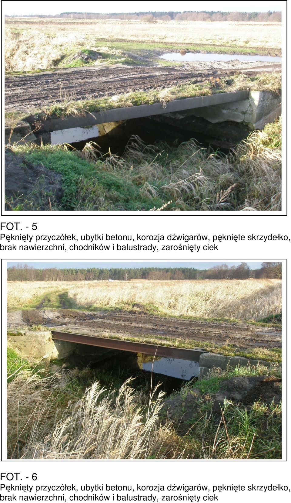 zarośnięty ciek FOT.