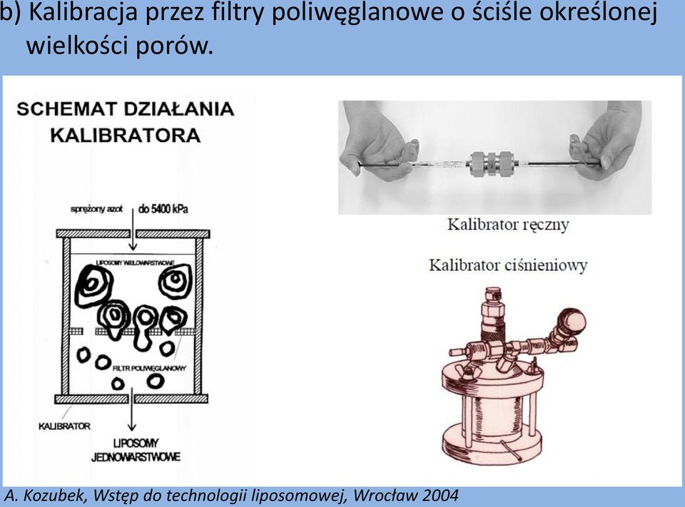 wielkości porów. A.