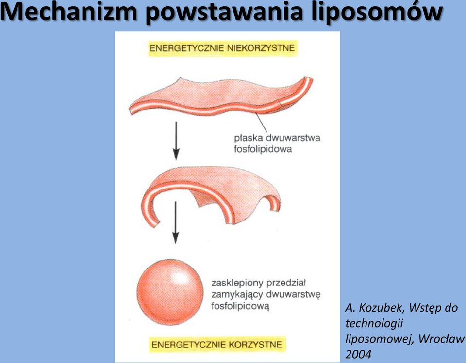 Kozubek, Wstęp do