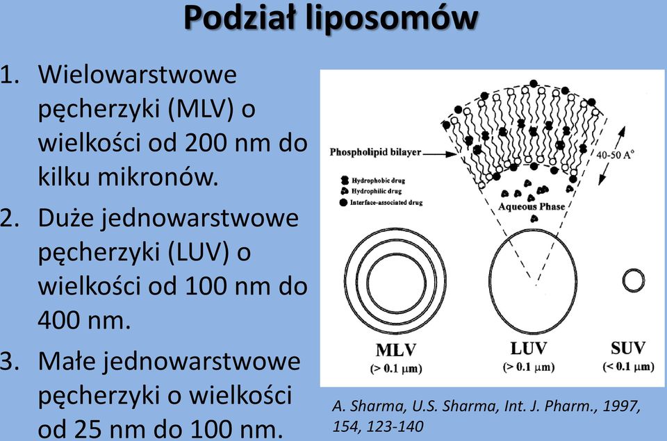 2. Duże jednowarstwowe pęcherzyki (LUV) o wielkości od 100 nm do 400 nm.