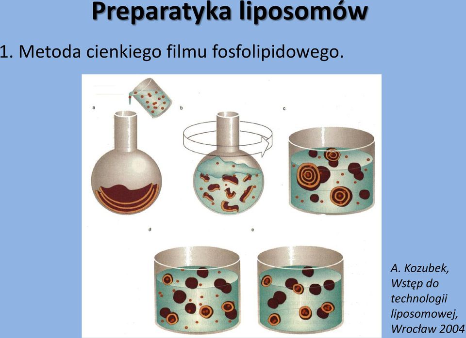 fosfolipidowego. A.
