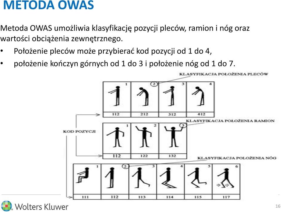 Położenie pleców może przybierać kod pozycji od 1 do 4,