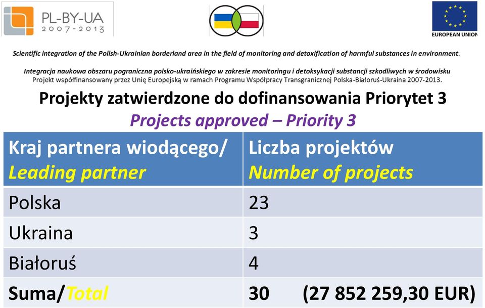 Leading partner Polska 23 Ukraina 3 Białoruś 4 Liczba