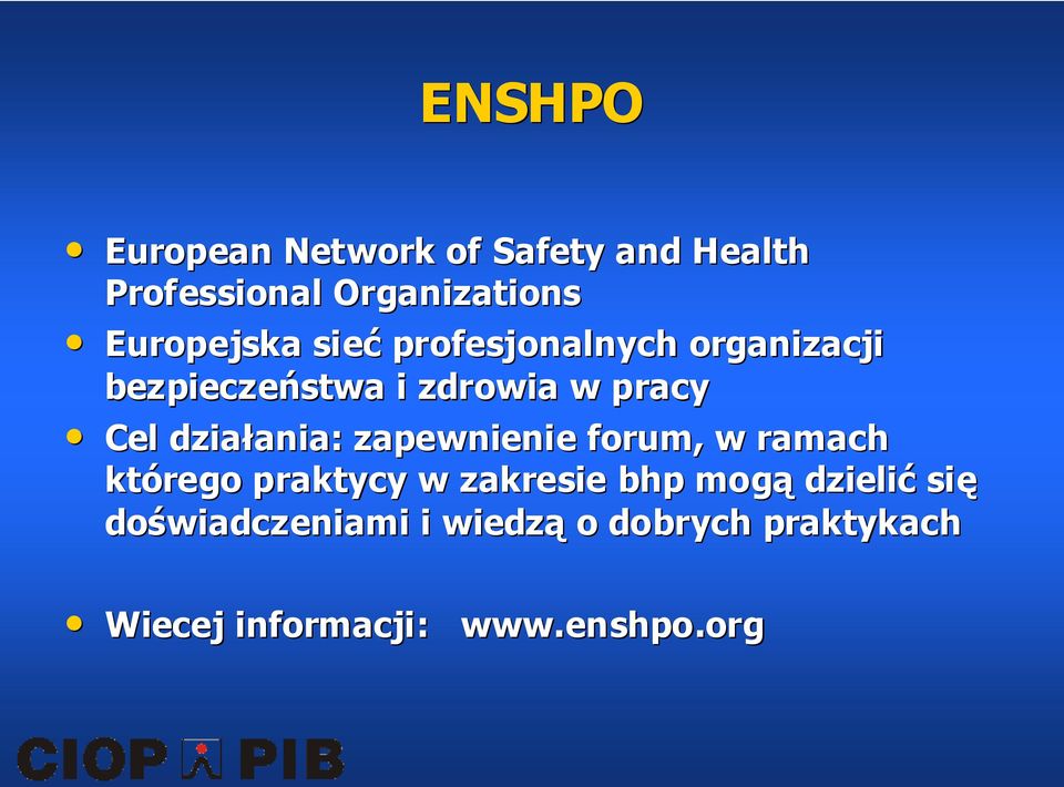działania: ania: zapewnienie forum, w ramach którego praktycy w zakresie bhp mogą