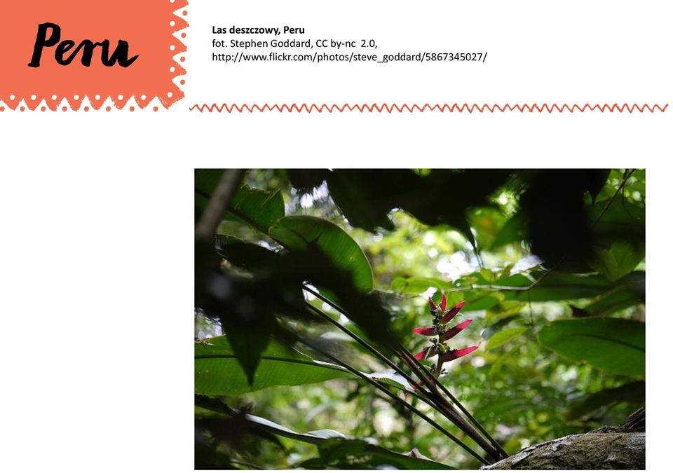 0, http://www.flickr.