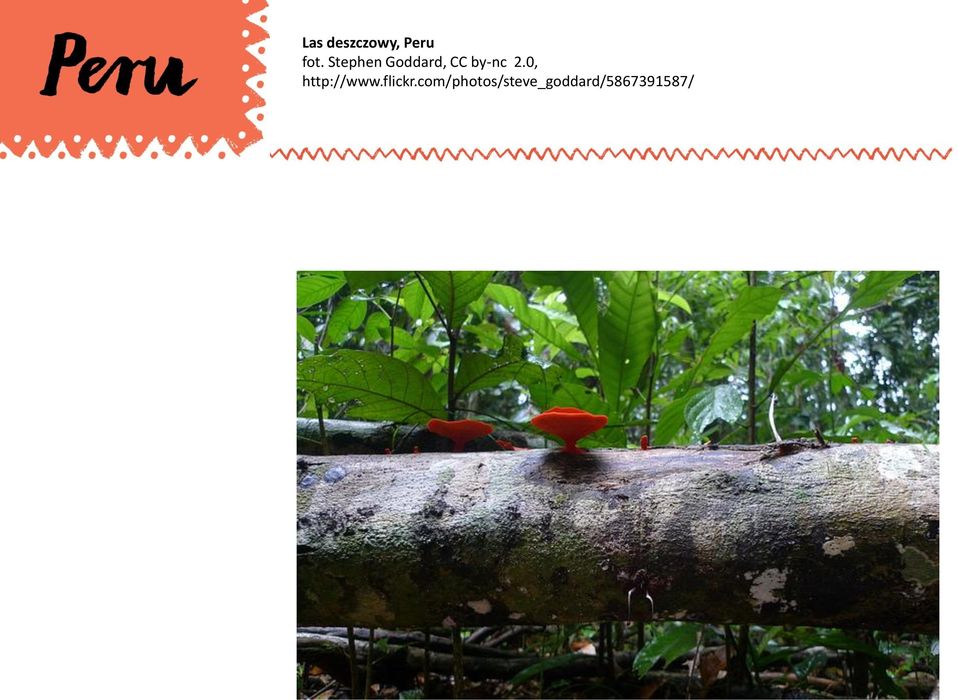 0, http://www.flickr.