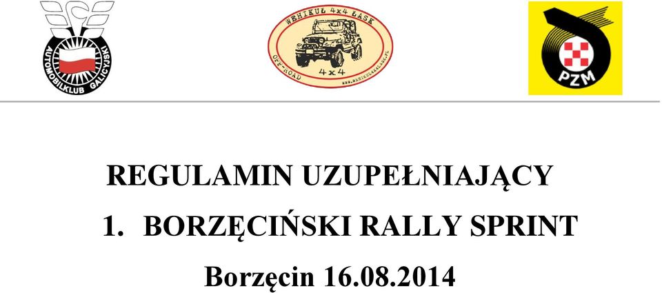 BORZĘCIŃSKI RALLY