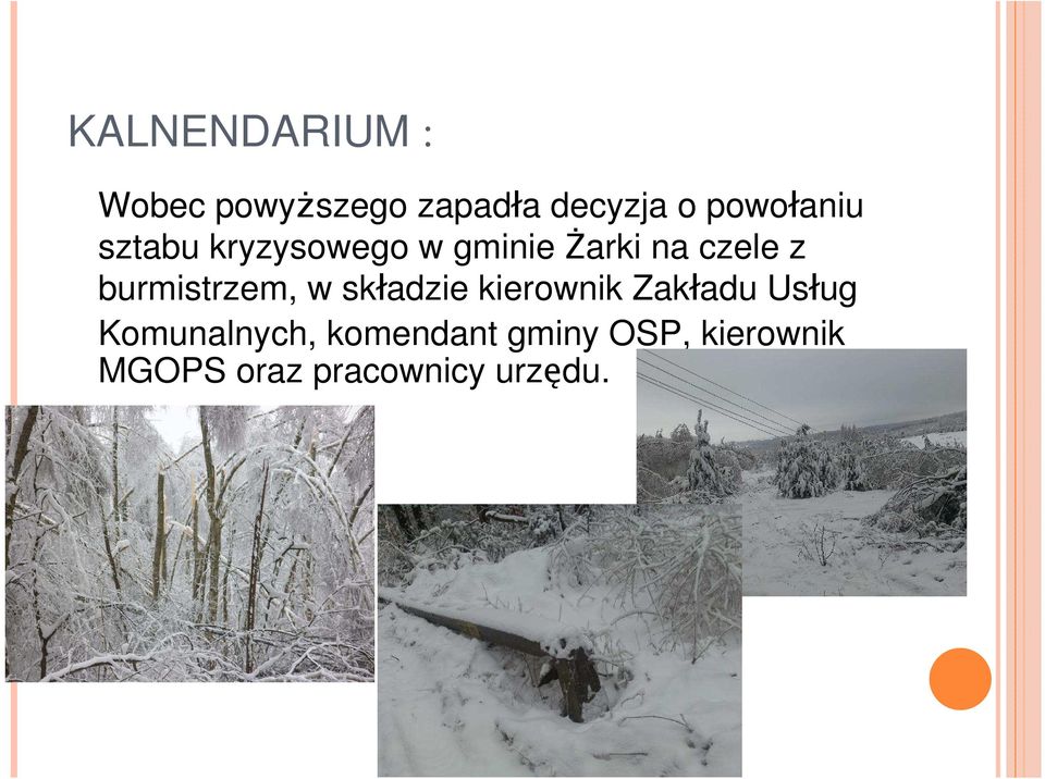 burmistrzem, w składzie kierownik Zakładu Usług
