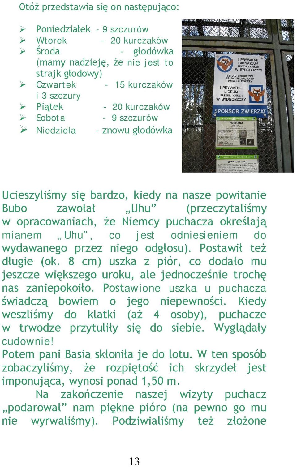 co jest odniesieniem do wydawanego przez niego odgłosu). Postawił też długie (ok. 8 cm) uszka z piór, co dodało mu jeszcze większego uroku, ale jednocześnie trochę nas zaniepokoiło.