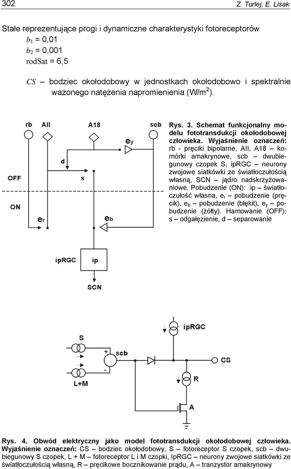 napromienienia (W/m 2 ). Rys. 3. Schemat funkcjonalny modelu fototransdukcji okołodobowej człowieka.