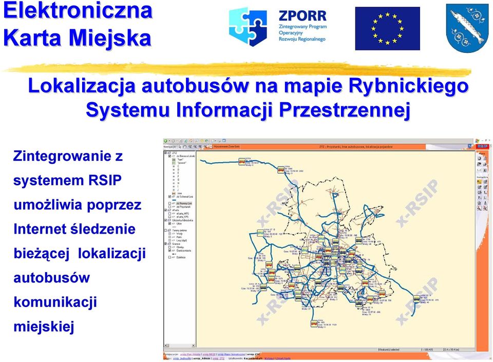 systemem RSIP umożliwia poprzez Internet