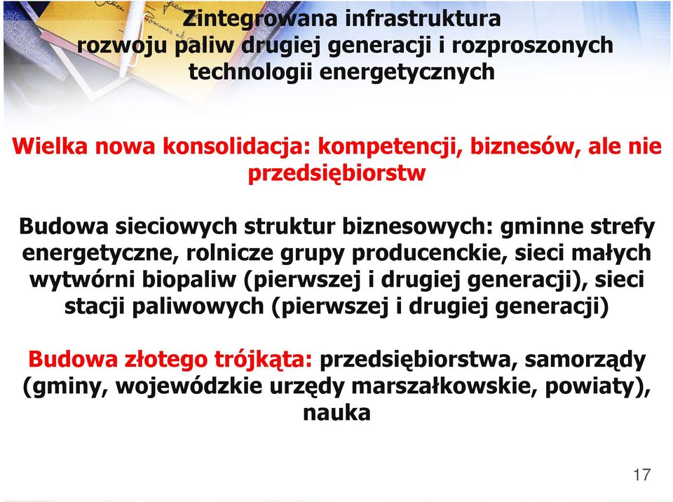 energetyczne, rolnicze grupy producenckie, sieci małych wytwórni biopaliw (pierwszej i drugiej generacji), sieci stacji