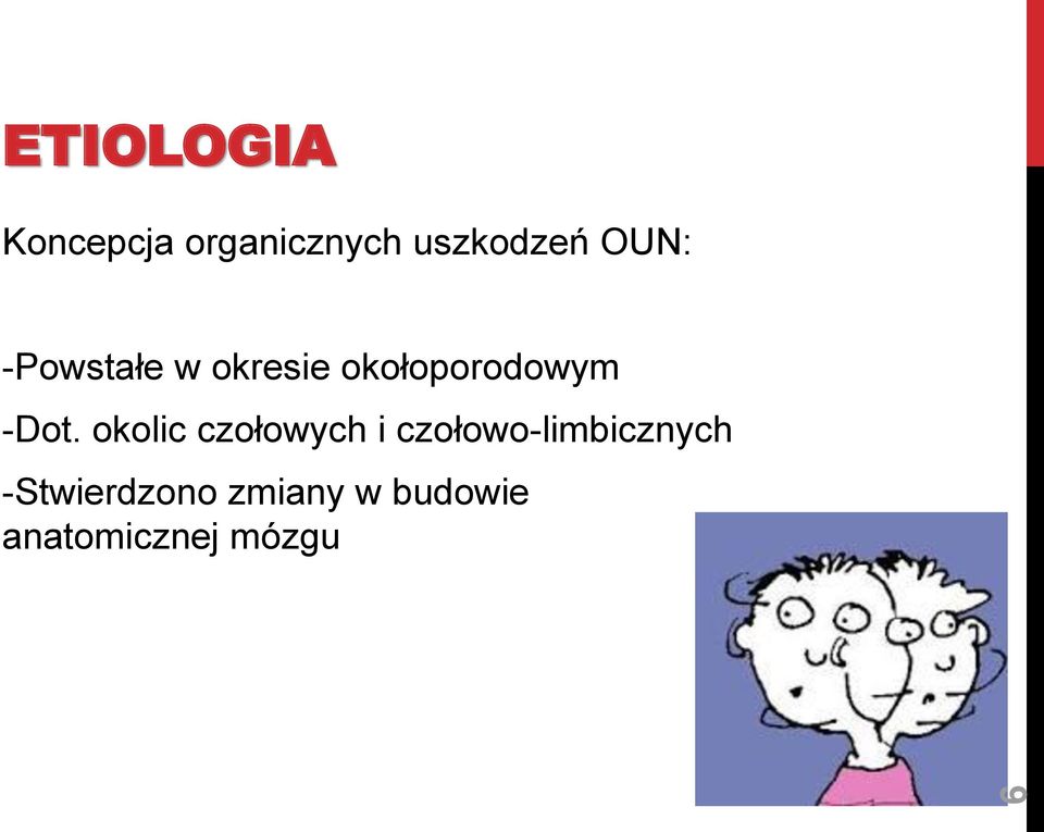 okolic czołowych i czołowo-limbicznych