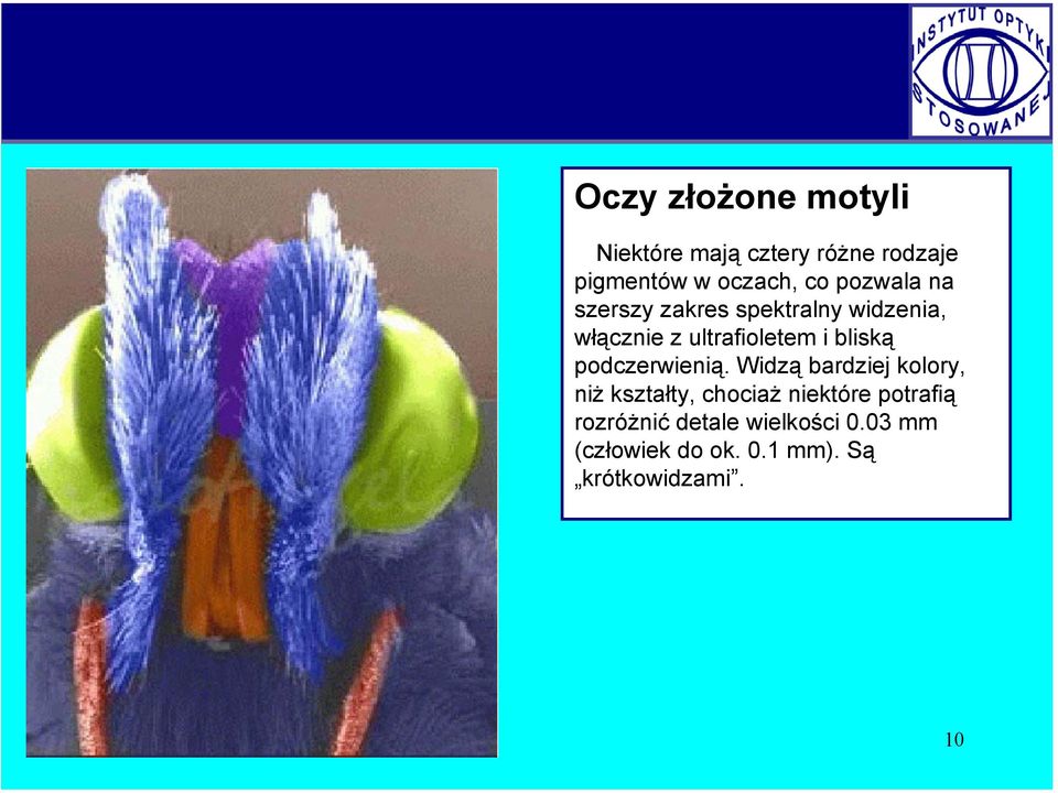 bliską podczerwienią.