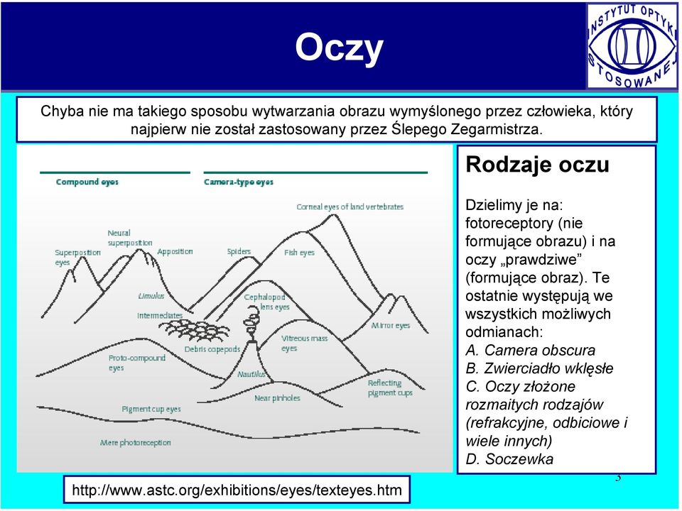 htm Dzielimy je na: fotoreceptory (nie formujące obrazu) i na oczy prawdziwe (formujące obraz).
