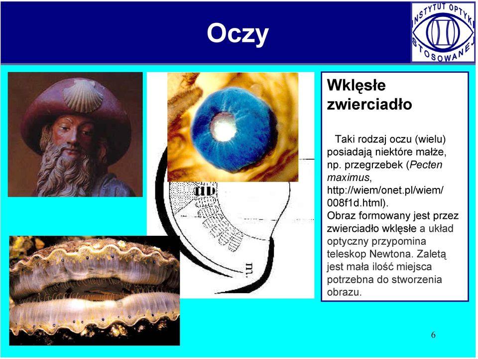 Obraz formowany jest przez zwierciadło wklęsłe a układ optyczny przypomina