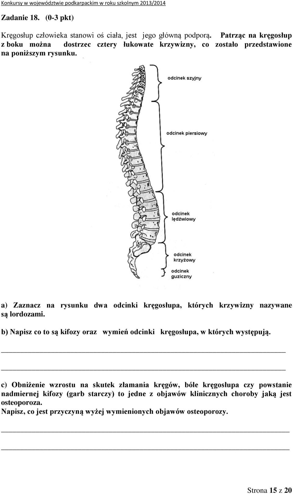 a) Zaznacz na rysunku dwa odcinki kręgosłupa, których krzywizny nazywane są lordozami.