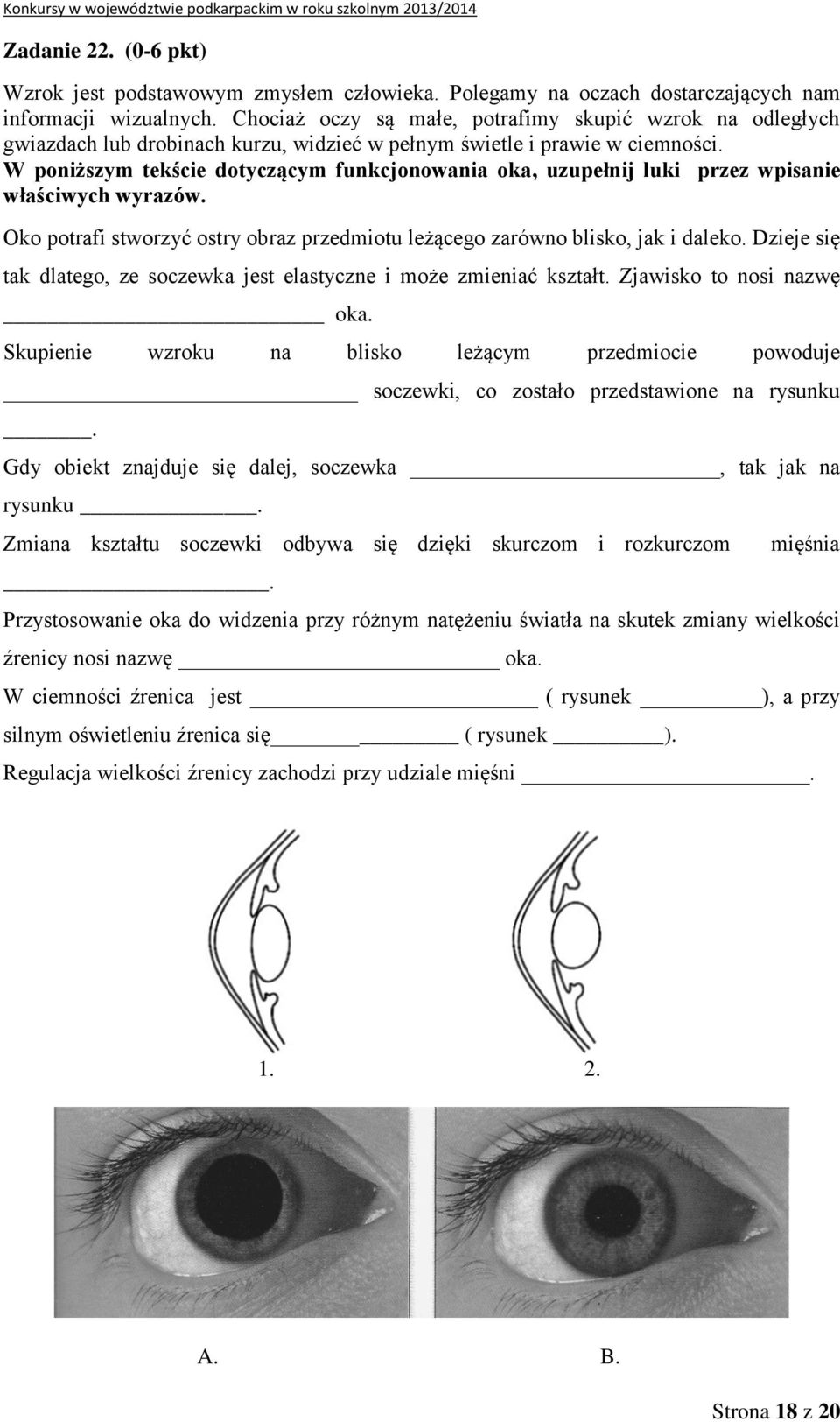 W poniższym tekście dotyczącym funkcjonowania oka, uzupełnij luki przez wpisanie właściwych wyrazów. Oko potrafi stworzyć ostry obraz przedmiotu leżącego zarówno blisko, jak i daleko.