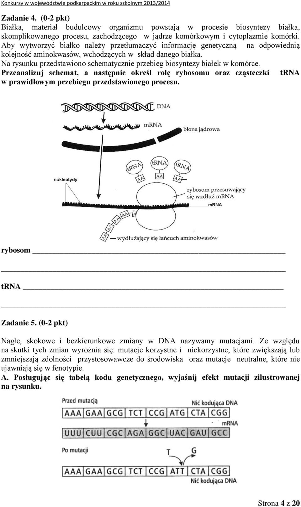 Na rysunku przedstawiono schematycznie przebieg biosyntezy białek w komórce.