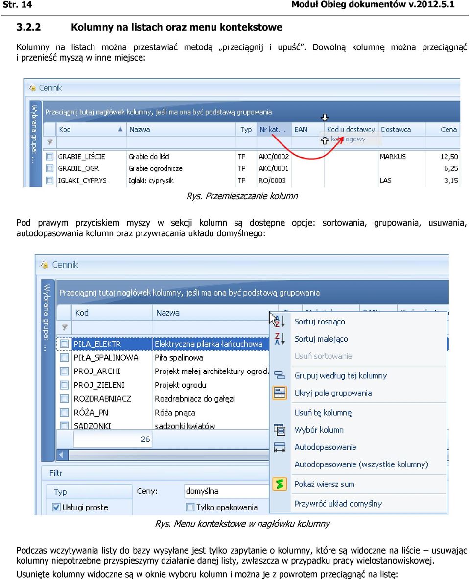 Przemieszczanie kolumn Pod prawym przyciskiem myszy w sekcji kolumn są dostępne opcje: sortowania, grupowania, usuwania, autodopasowania kolumn oraz przywracania układu domyślnego: Rys.