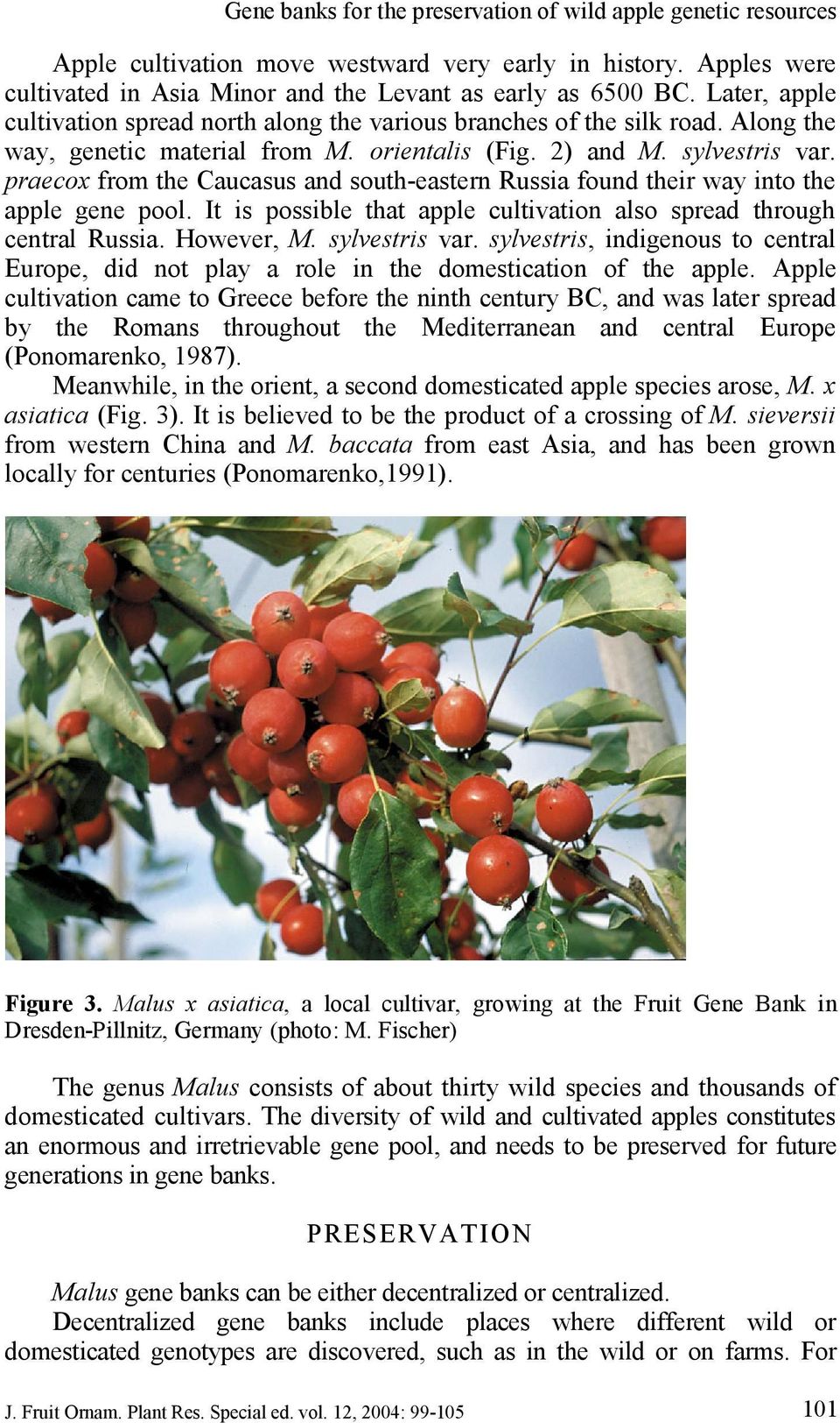 praecox from the Caucasus and south eastern Russia found their way into the apple gene pool. It is possible that apple cultivation also spread through central Russia. However, M. sylvestris var.