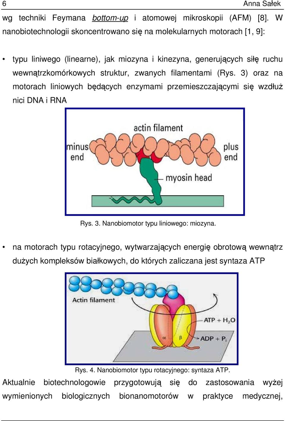 zwanych filamentami (Rys. 3) oraz na motorach liniowych będących enzymami przemieszczającymi się wzdłuż nici DNA i RNA Rys. 3. Nanobiomotor typu liniowego: miozyna.