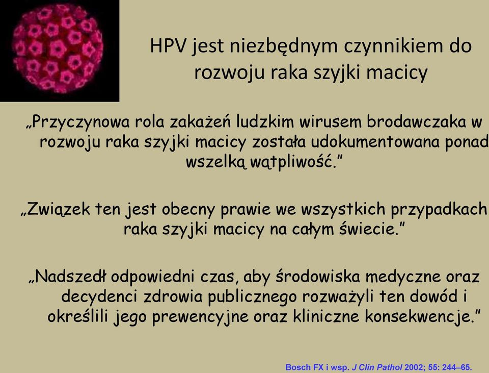 Związek ten jest obecny prawie we wszystkich przypadkach raka szyjki macicy na całym świecie.